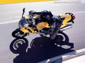 2008 BMW F 800 S photo